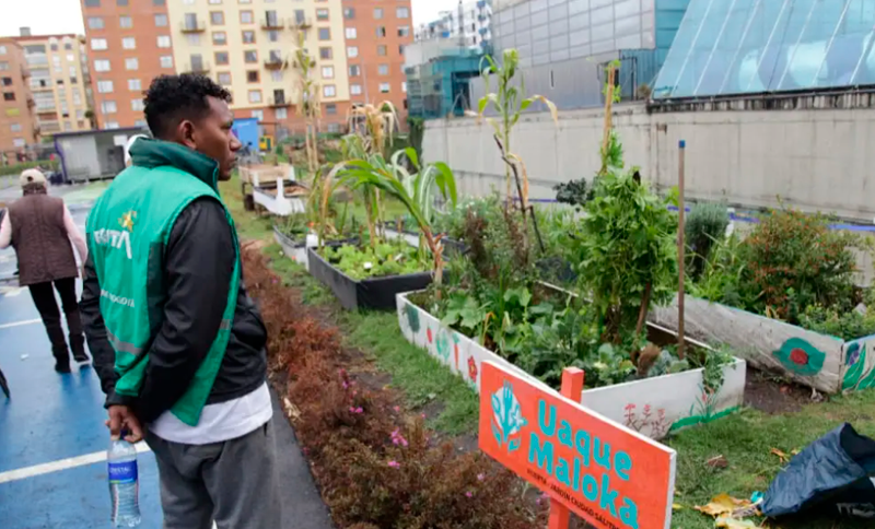 De la cocina a la tierra: nuestros residuos orgánicos siguen el ciclo