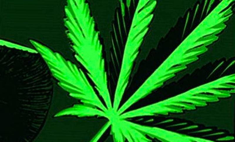 Soberanía Psicoactiva