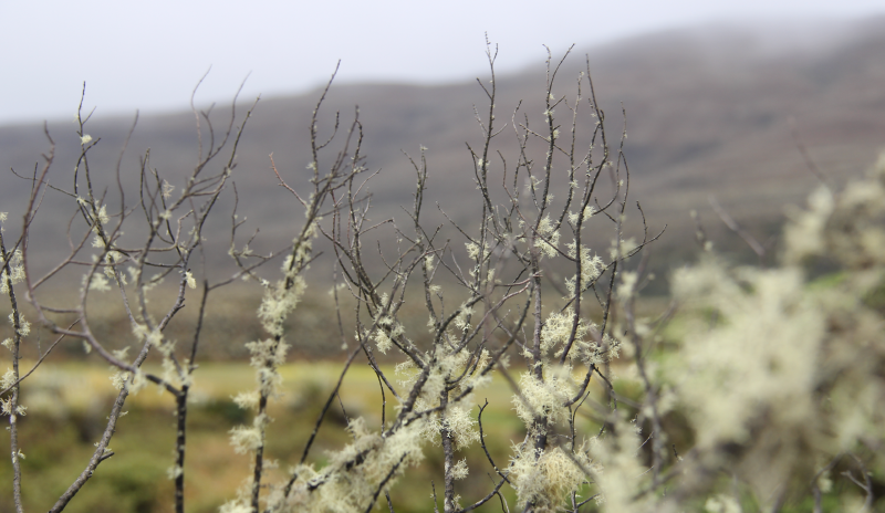 Fotografía del Páramo de Sumapaz