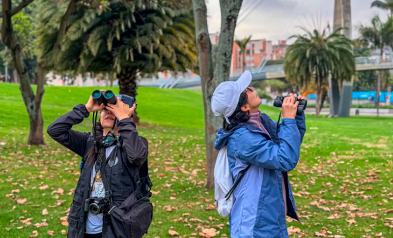 Taller + recorrido: Mapeando vida