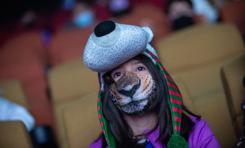 Niño disfrazado con máscara de tigre y sombrero de perro