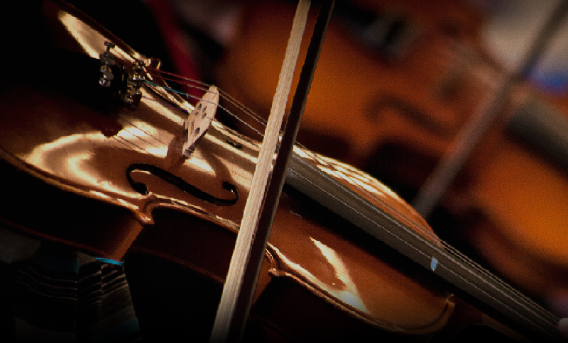 Violín en primer plano