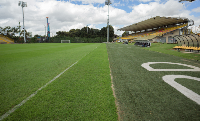 estadio de techo