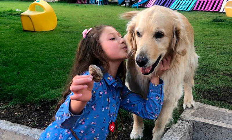 Niña besando a un perro labrador