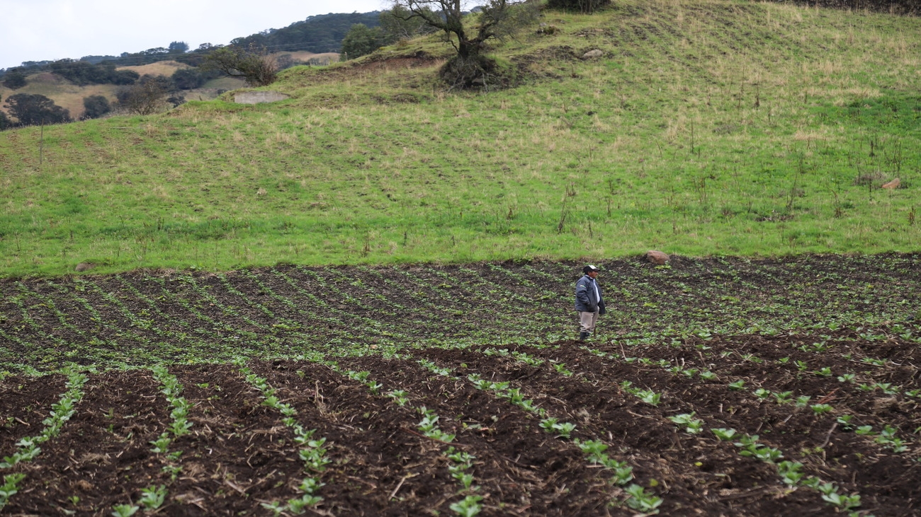 Día del Campesino