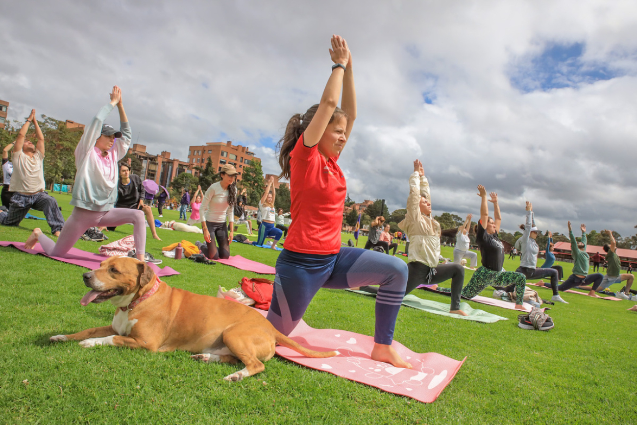 Mujer haciendo yoga al aire libre con su perro