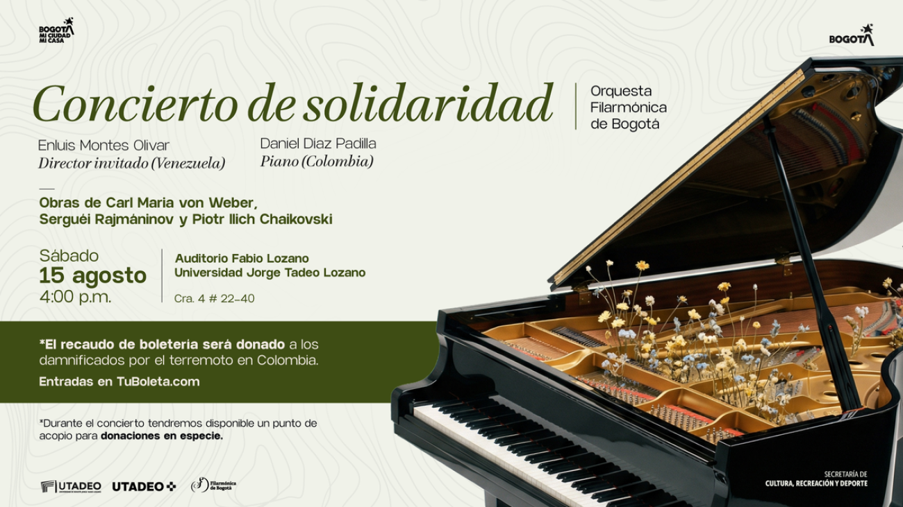 imagen concierto solidaridad