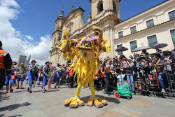 Artista con traje de pájaro gigante