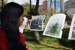 Persona ve fotos de exposición