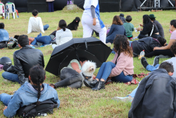 publico con mascota