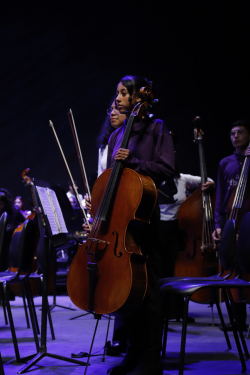 Niña de orquesta sinfónica ejecuta instrumento