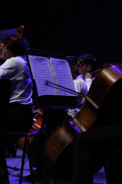 Niña de orquesta sinfónica ejecuta violonchelo