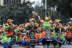 Grupo de comparseros con traje de animales 