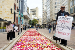 exposicion eje ambiental