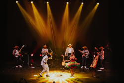 Escenario con artistas llaneros