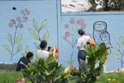 Gente pintando mural