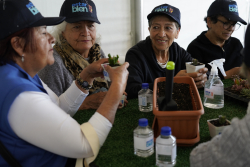 personas mayores departiendo juntas