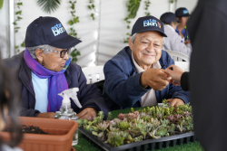 personas mayores departiendo juntas