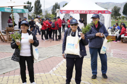 personas mayores departiendo juntas