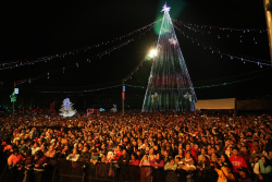 plaza de Bolivar iluminada en Navidad