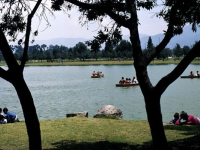 Parques de Bogotá. Foto: SCRD