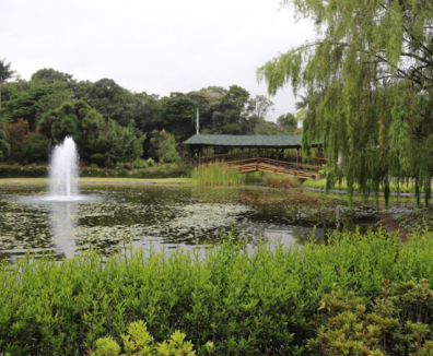 Iniciativas culturales - Parque con lago
