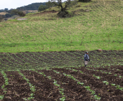 Día del Campesino