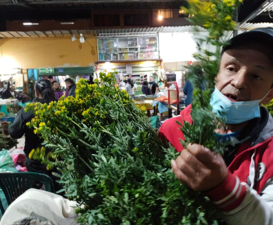 José Beltrán, comerciante de ruda en la Plaza Distrital Samper Mendoza