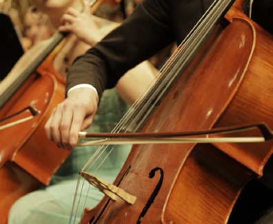 Violines en primer plano