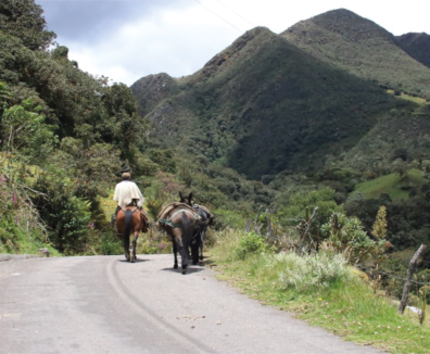Persona en caballo