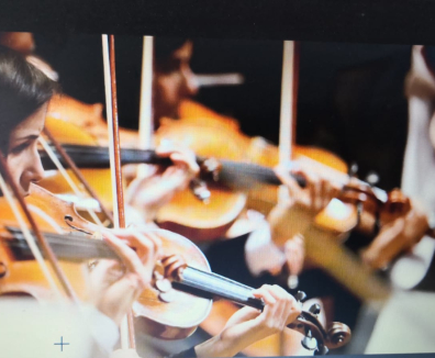 violin