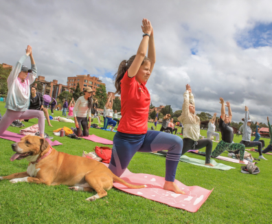 Mujer haciendo yoga al aire libre con su perro