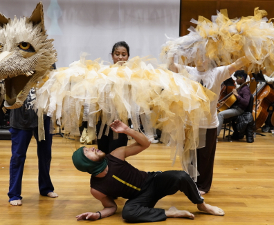 Obra Pedro y el lobo - FIAV
