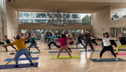 Fotografía de varias personas realizando una práctica de yoga.