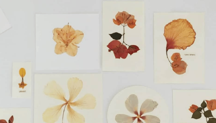 Fotografía de collage de varias flores en estampadas en papel