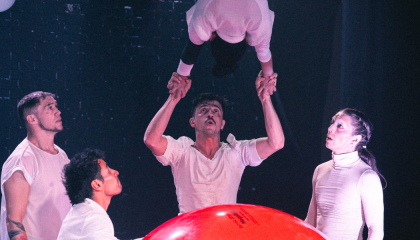 Miembros del circo implosión.