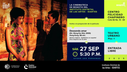 Afiche de Deseando amar.