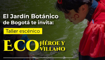 Poster del Taller de ECO.