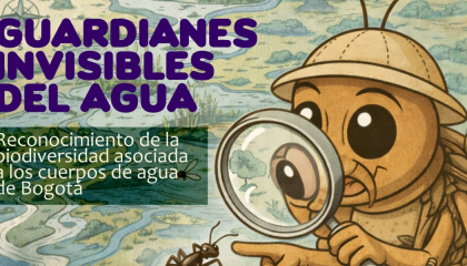 Afiche de guardianes invisibles.