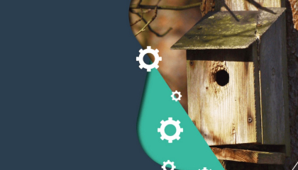 Foto caseta para pájaros