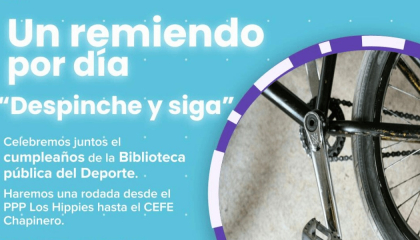 Afiche despinche.