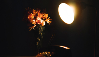 Lámpara iluminando flores