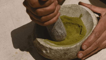 Mortero con molienda de hoja de coca.