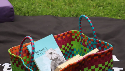 Verso traverso (Concurso de poesía)