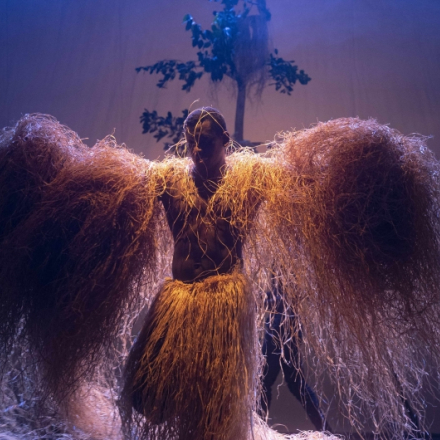 fotografía de obra de danza