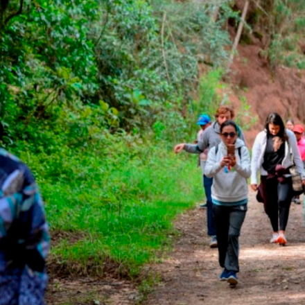 Caminata - Mirador el Peñon        