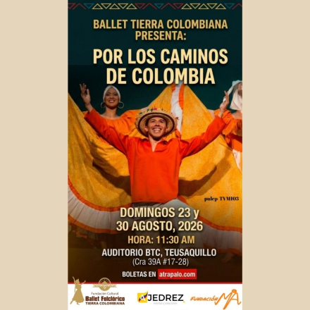 información genérica de la obra