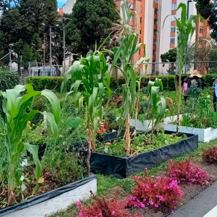 La Huerta Uaque Maloka cumple 2 años