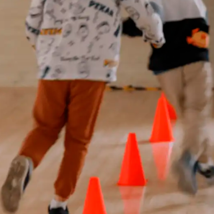 Ludosport 