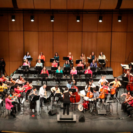 Orquesta Filarmónica de Mujeres en un Escenario 